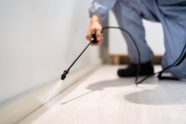 Licensed Mosquito Control service in White Salmon, WA - Show Me Pest Control