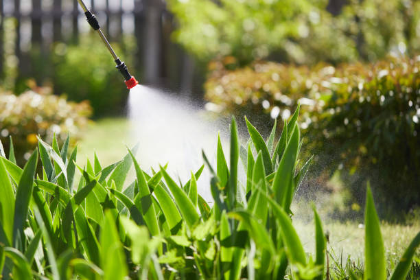 24/7 Emergency Mosquito Control experts in White Salmon, WA